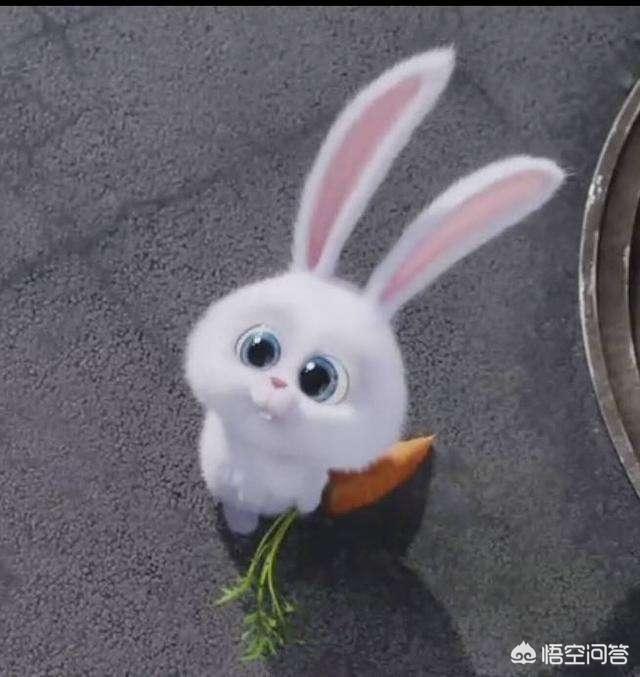 [庭院景观设计厂家现货]做庭院景观设计需要用到哪些软件？