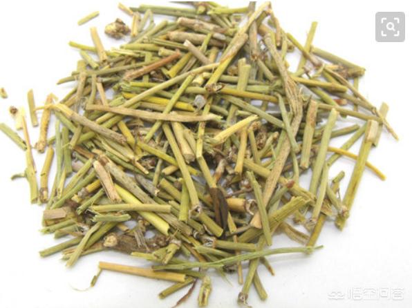 麻黄-麻黄的功效与作用
