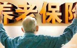 养老保险为什么查不了余额-查询不到养老保险金额？