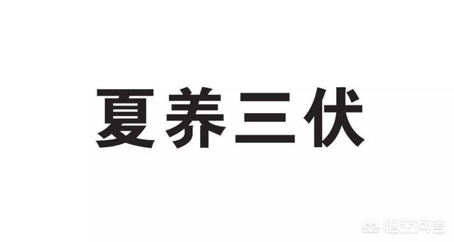 慢性咽炎怎么治疗(图3)