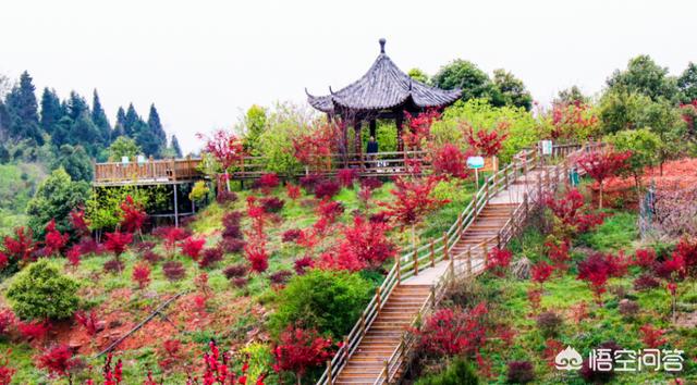 金堂有什么好玩的地方?哪些景点必去
