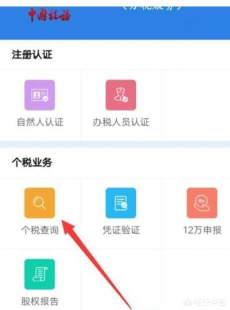 个人所得税查询网站，个人所得税查询网站登录