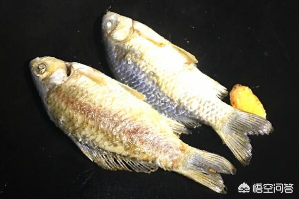 鲫鱼汤怎么做好吃(图3)