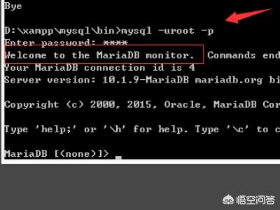 如何查看mysql的用户名和密码？mysql密码忘记了怎么办？