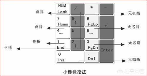 小键盘指法练习技巧？：小键盘练习