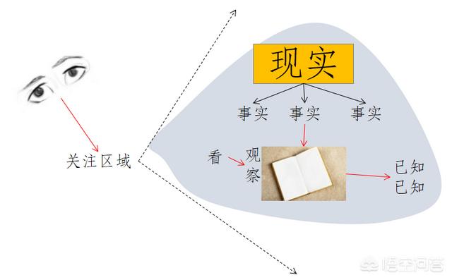 怎么改善人的思维能力(图9)