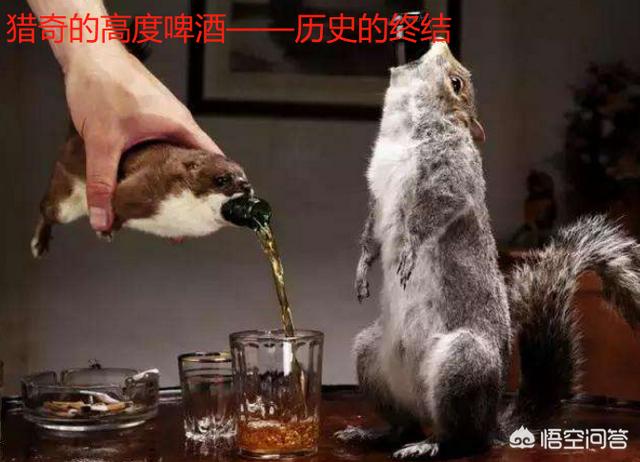 最容易喝醉的啤酒搭配(图16)
