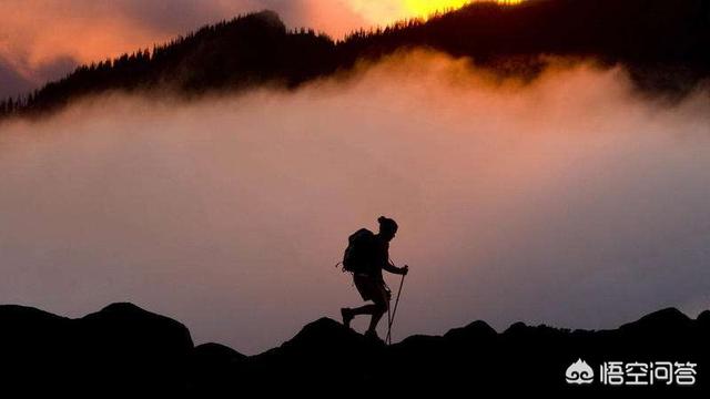 坚持的小故事加感悟（坚持的小故事100字）