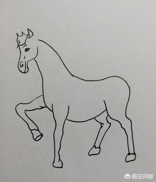 畫寵物簡筆畫?畫寵物簡筆畫圖片!