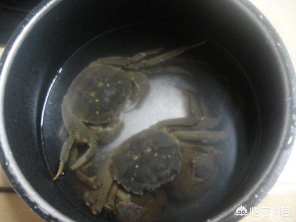 河蟹怎么做-河蟹怎么做好吃又简单