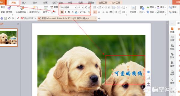 怎么用ppt在图片上加入文字