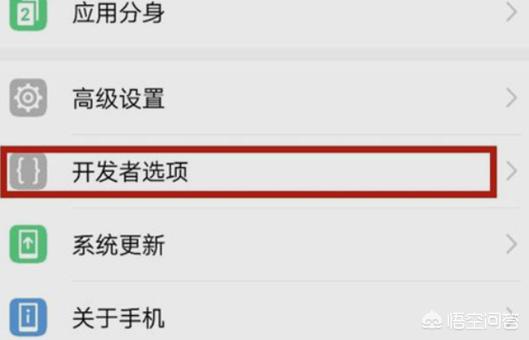 如何找到手机中的开发者选项