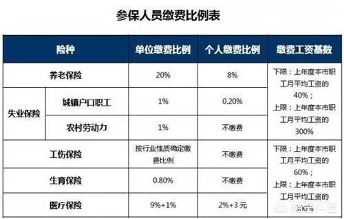 五险是什么险，五险是什么险一金是什么金