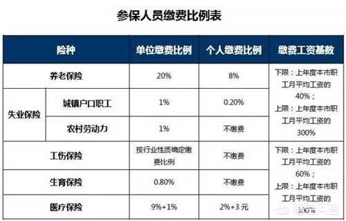 社保 五险，社保五险是哪五险