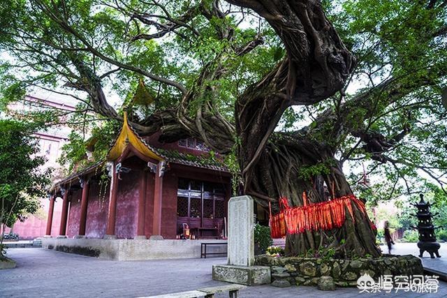 粤北秋季自驾游路线，粤北秋季自驾游路线图