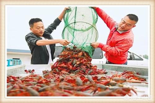 我如何发财致富呢英语