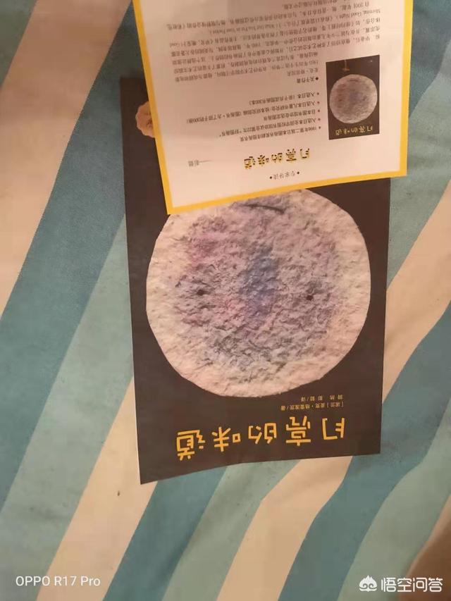 儿童海外生活，儿童海外生活体验