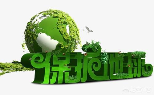 保护地球需要学习哪些知识，保护地球需要做些什么
