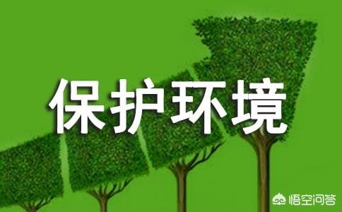 保护环境的建议10条（保护环境的宣传语）