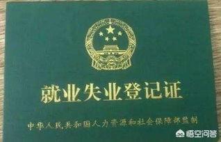 南京市就业证办理流程图 在南京如何办理就业证？
