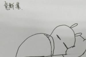 画一只公主小兔子 画画,画一只小兔子