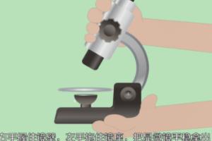 [显微镜如何使用]显微镜的使用操作步骤？