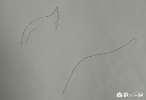 画翅膀教程,画翅膀教程简单好看
