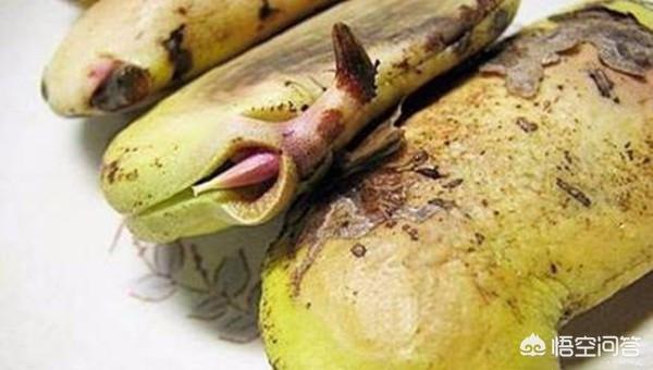 小孩吃剩的水果怎么处理(图4)