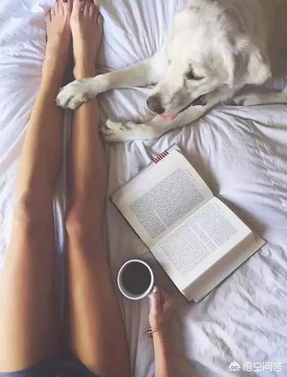 练习瑜伽上犬式和下犬式有什么好处,第5张