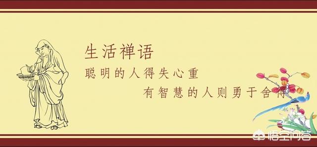 历史人物评价800字（历史人物评价1000字）
