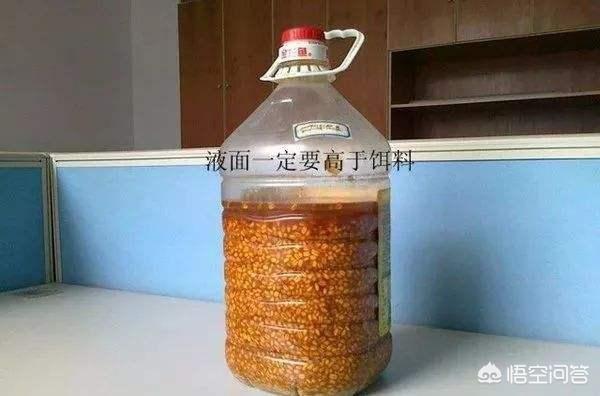 黄骨鱼养殖骗局揭秘视频大全下载 用蚯蚓钓鱼如何才能让鱼尽快上钩？