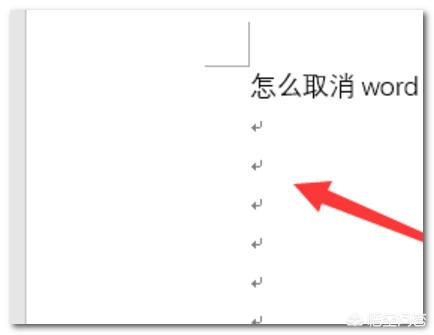 word文档怎么去掉回车符还有换行符