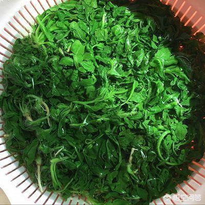 荠菜饺子馅怎么调-荠菜饺子馅怎么调才好吃