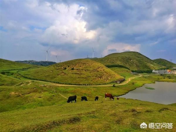 郴州市内旅游景点大全， 郴州市内旅游景点大全排名