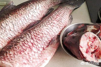咸鱼的做法（咸鱼是怎么制作的？）
