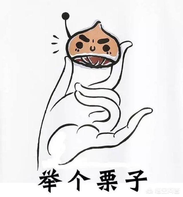 保险公司交五险一金吗，保险公司交五险一金吗多少钱