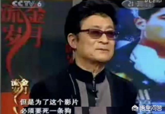 我的海外生活纪录片，我的海外生活纪录片樱花的颜色