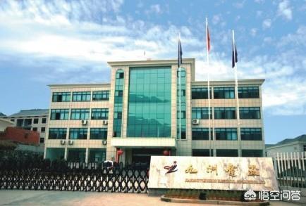 哈尔滨九洲电器营收排名，哈尔滨九洲电器股份有限公司