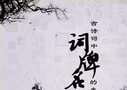 常见的词牌名100个（56个常见的词牌名）