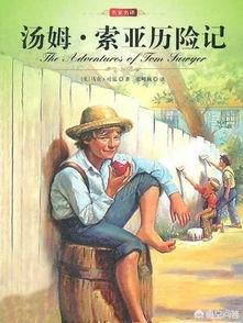 汤姆索亚历险记简介（汤姆历险记的主要内容）