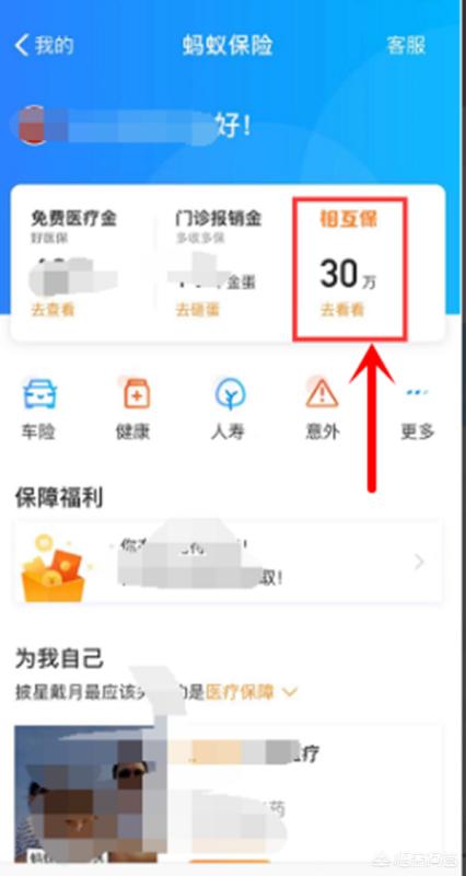 支付宝相互保怎么退出，支付宝相互保怎么退出能退回本金吗