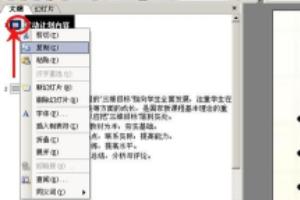 把ppt转换成word纯文字-Wps把ppt转换成word纯文字