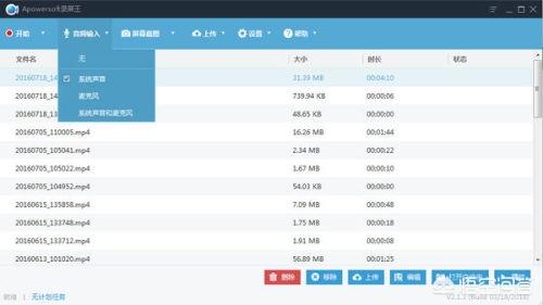 录屏王（录屏王怎么放歌？）