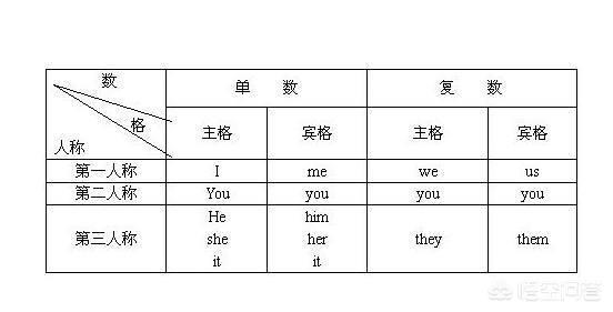 怎么样用英语怎么说(它怎么样用英语怎么说)
