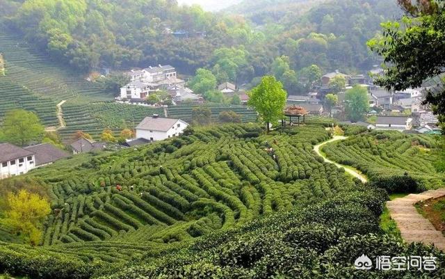 松江丽水旅游攻略路线， 松江丽水旅游攻略路线图