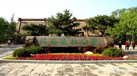济南必去几个景点免费(图29)