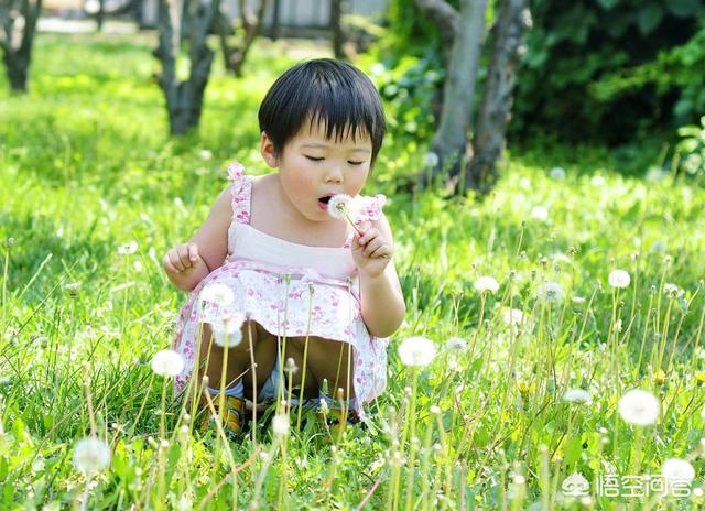 河南农村吃什么水果多