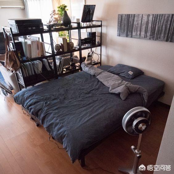 寵物房裝修?寵物房裝修效果圖!