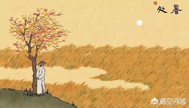 初秋行圃意思（初秋行圃的诗意是什么）