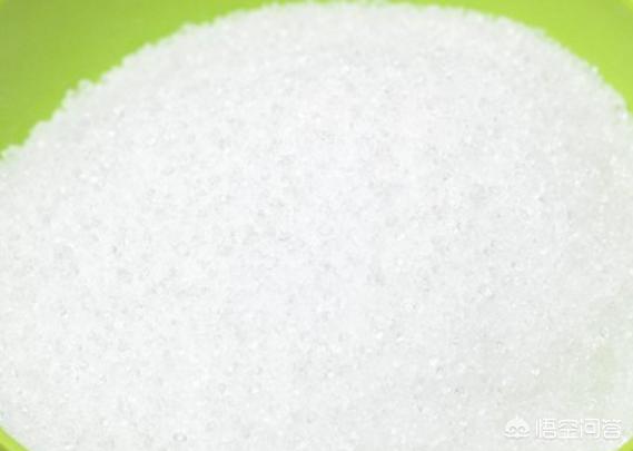 猫粮狗能吃吗,第8张
